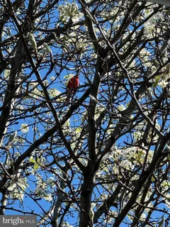 $685,000 | 2422 2nd Street Northeast, Washington, DC 20002