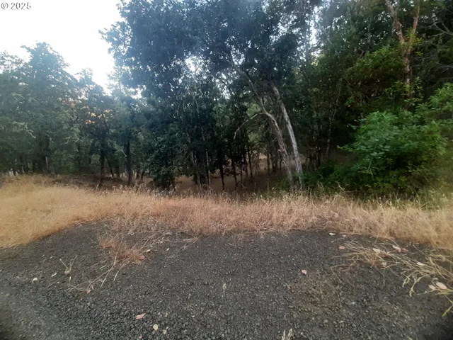 a view of a lake with lots of trees