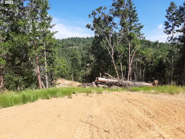 a view of a yard with a tree