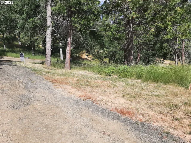 a backyard of a house with lots of green space