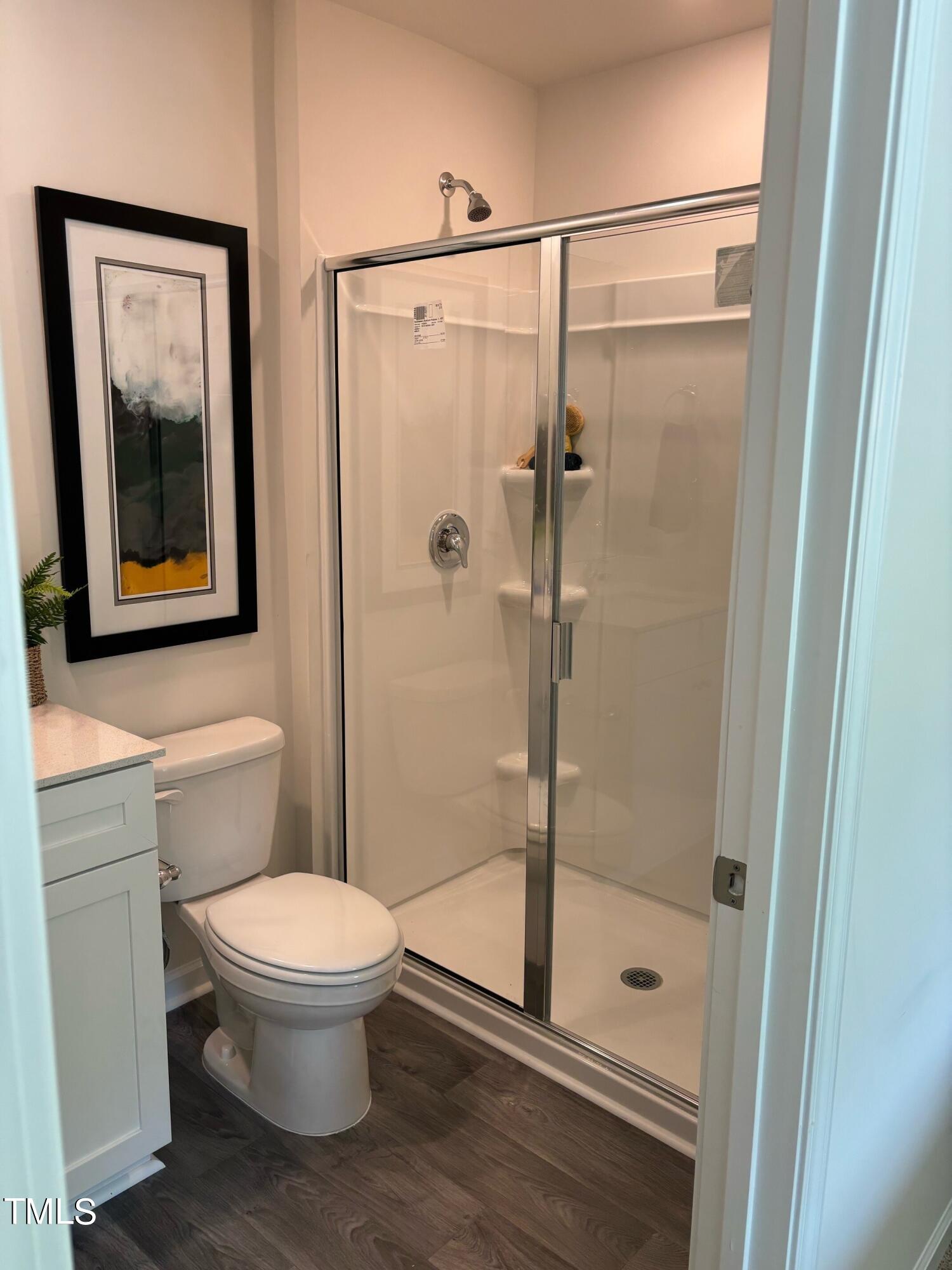 8731 Asher Gray Way Raleigh, NC 27616 - Photo 12 of 21 primary bath