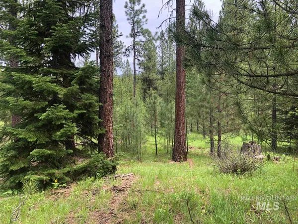 $255,000 | L18 Silver Cloud Drive, Cascade, ID 83611