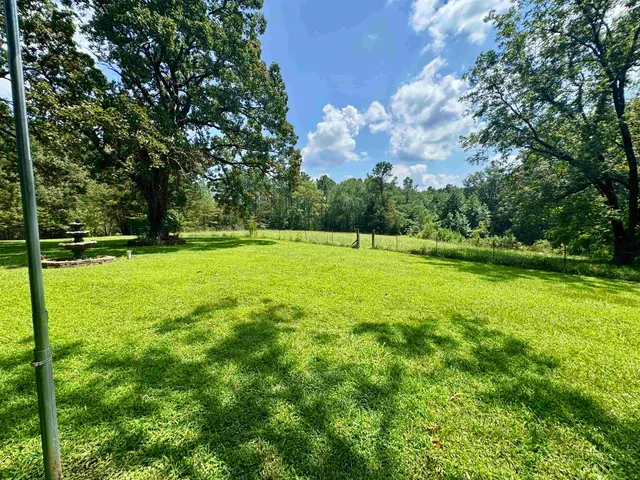 a view of a trees in a yard