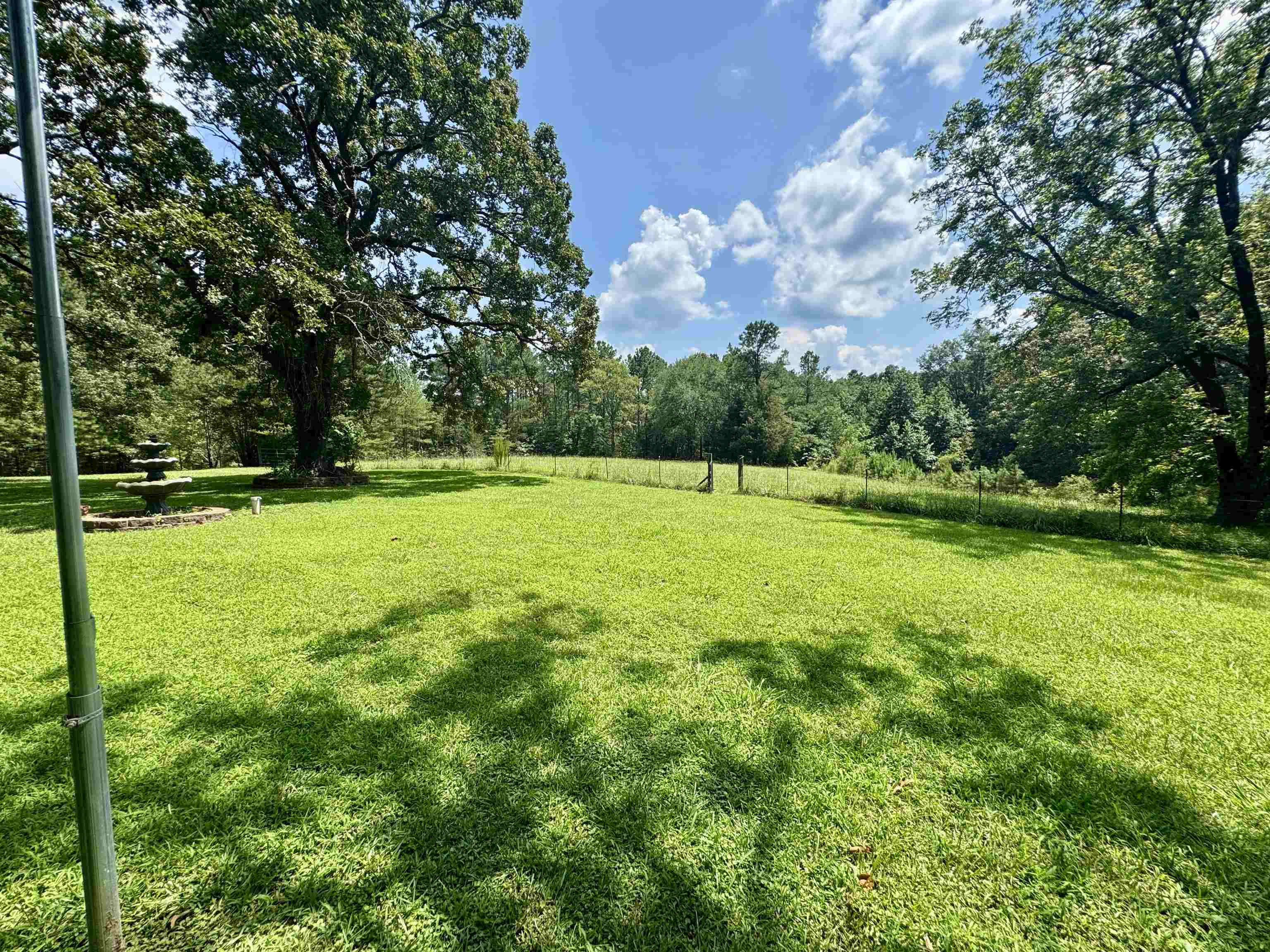 13000 Highway 57 Middleton, TN 38052 - Photo 35 of 40 a view of a trees in a yard