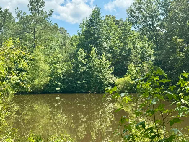 a view of yard with green space