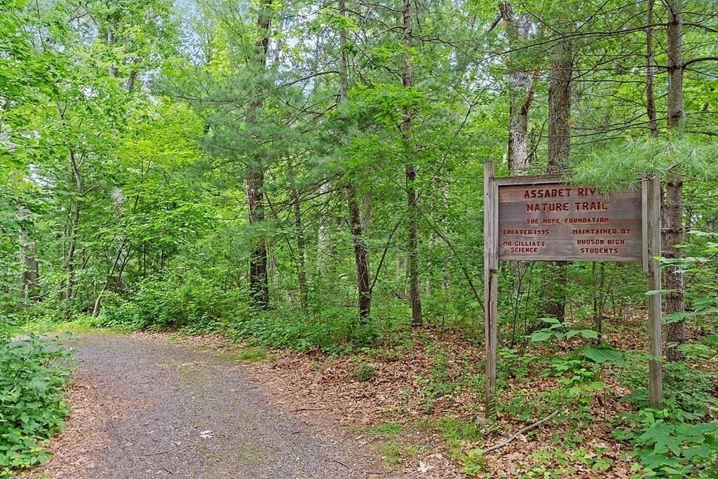 47 Deer Path, Unit 47 Hudson, MA 01749 - Photo 38 of 42 a view of a yard with plants and large trees