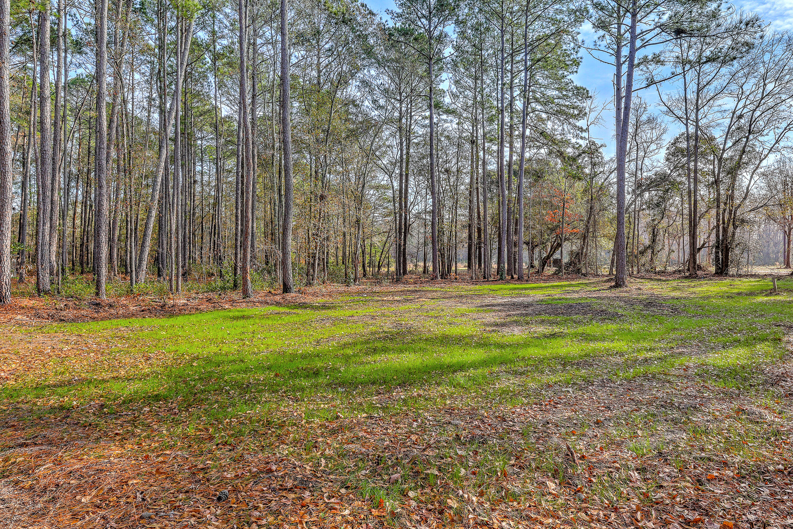 639 Lannie Lane Moncks Corner, SC 29461 - Photo 31 of 37 ZYN_1709_10_11_12_13_14_15