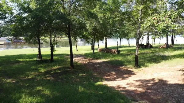 a view of a park with large trees