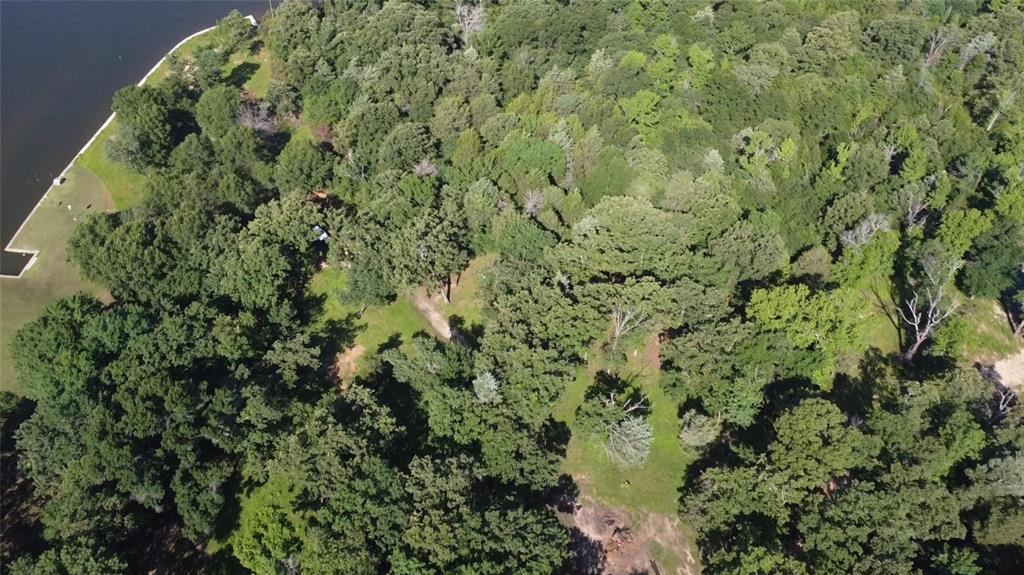 24 Sycamore Street Yantis, TX 75497 - Photo 3 of 6 a view of a garden with a plant