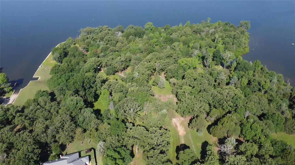 24 Sycamore Street Yantis, TX 75497 - Photo 5 of 6 a view of a garden