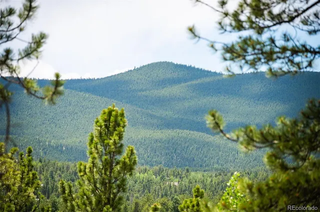 $515,000 | 21 Crystal Rock Road, Bailey, CO 80421