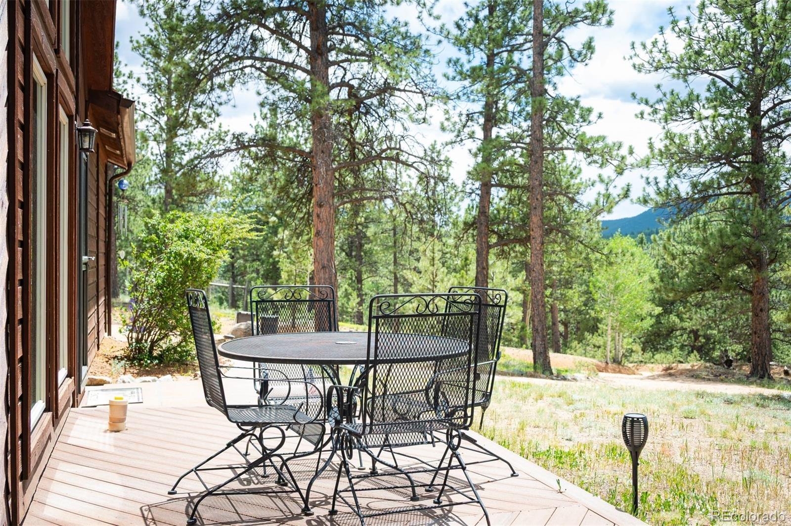 21 Crystal Rock Road Bailey, CO 80421 - Photo 30 of 50