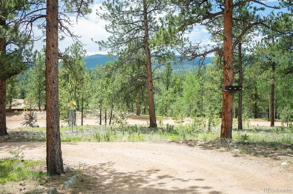 $505,000 | 21 Crystal Rock Road, Bailey, CO 80421
