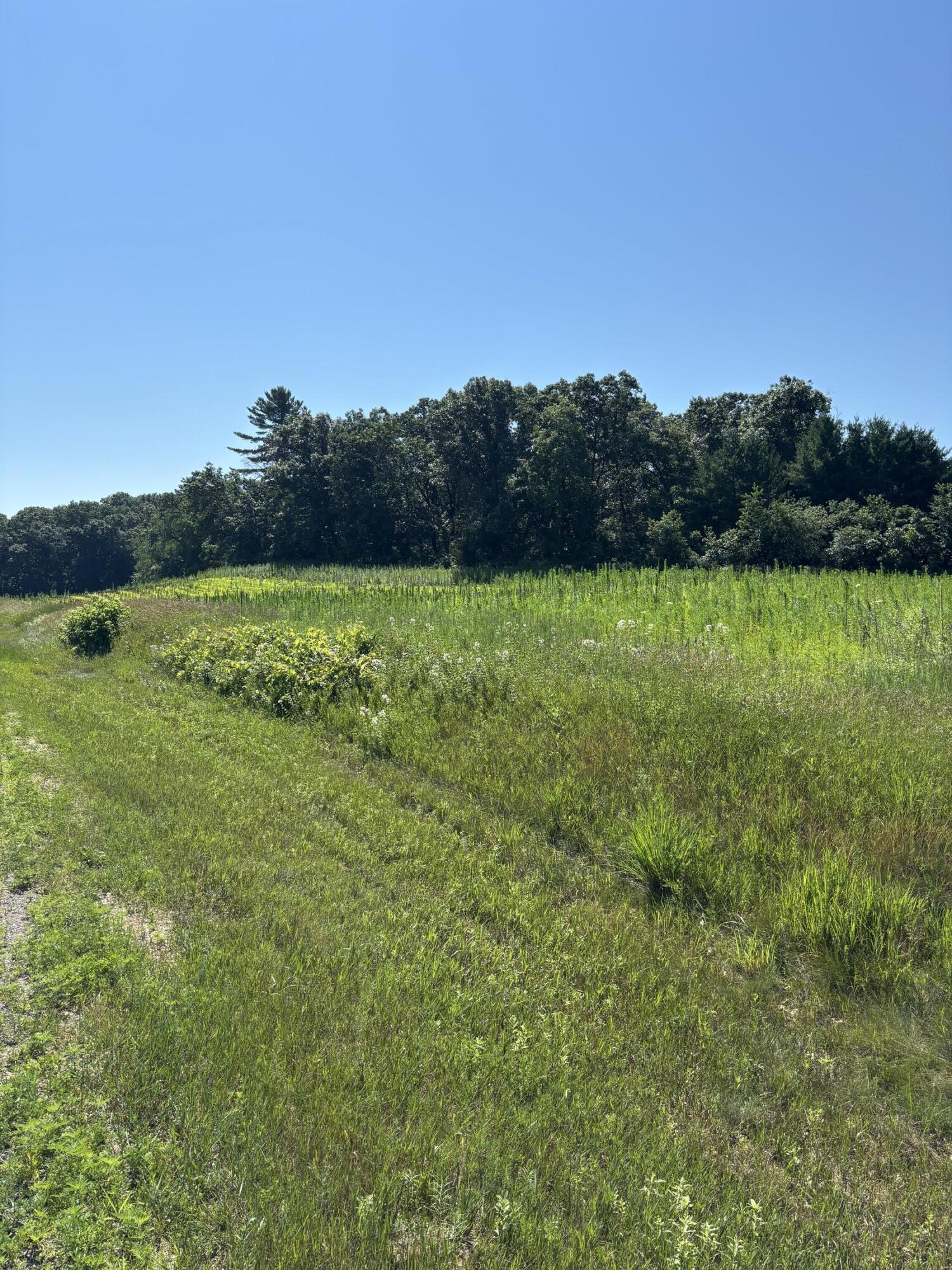 0 County Road West Mindoro, WI 54644 - Photo 2 of 9 IMG_1813