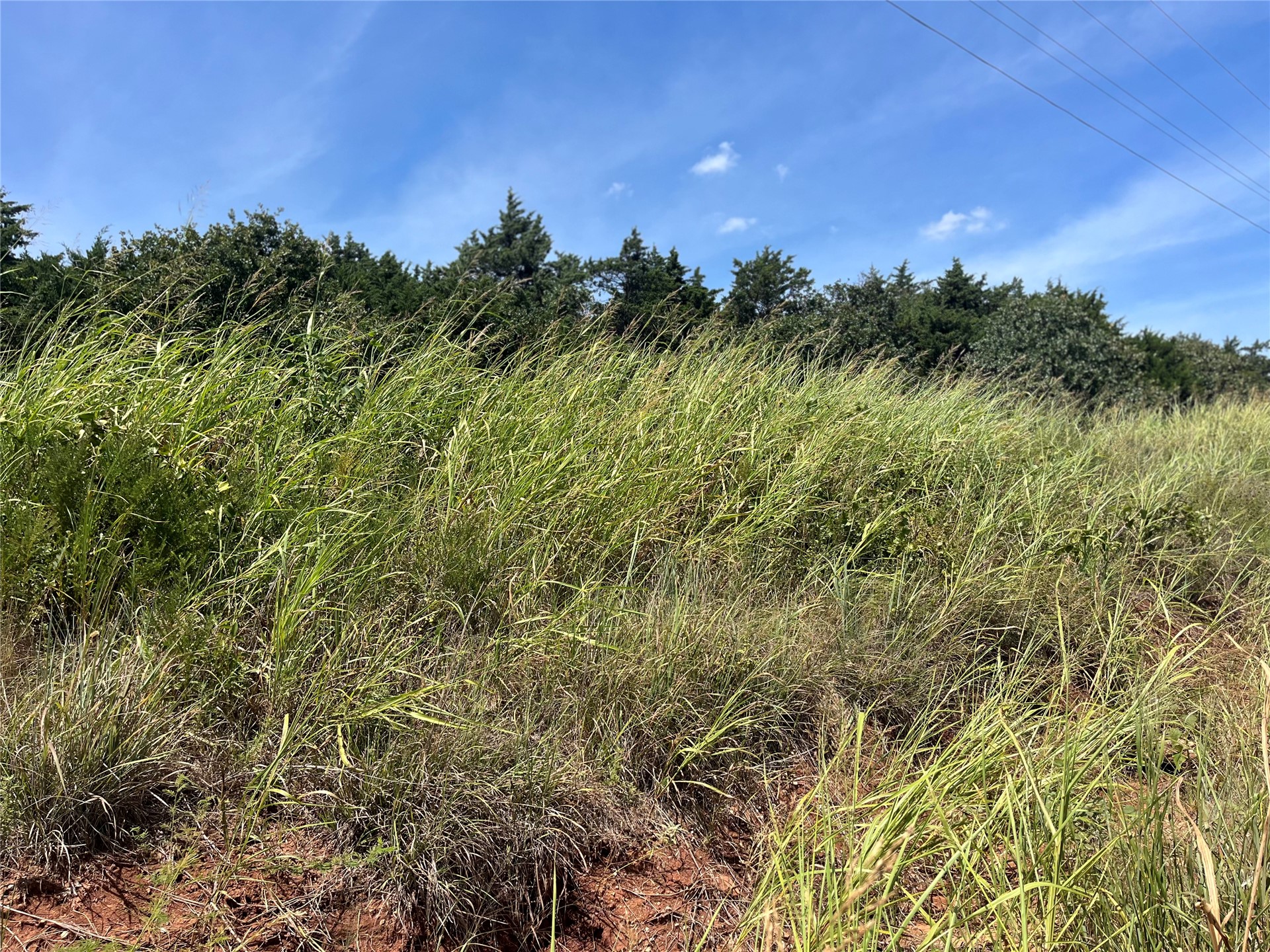 0 Range Road Perry, OK 73077 - Photo 27 of 32 Open land with natural vegetation and distant tree line