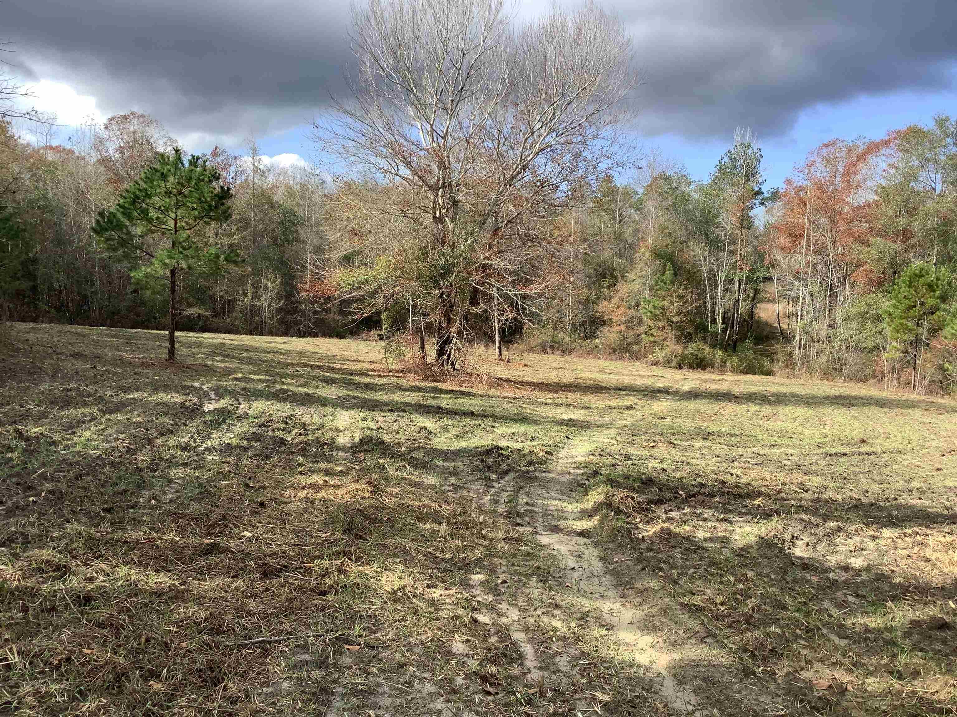 2264 Mulberry Road Brantley, AL 36009 - Photo 2 of 30 Gallery Image 2