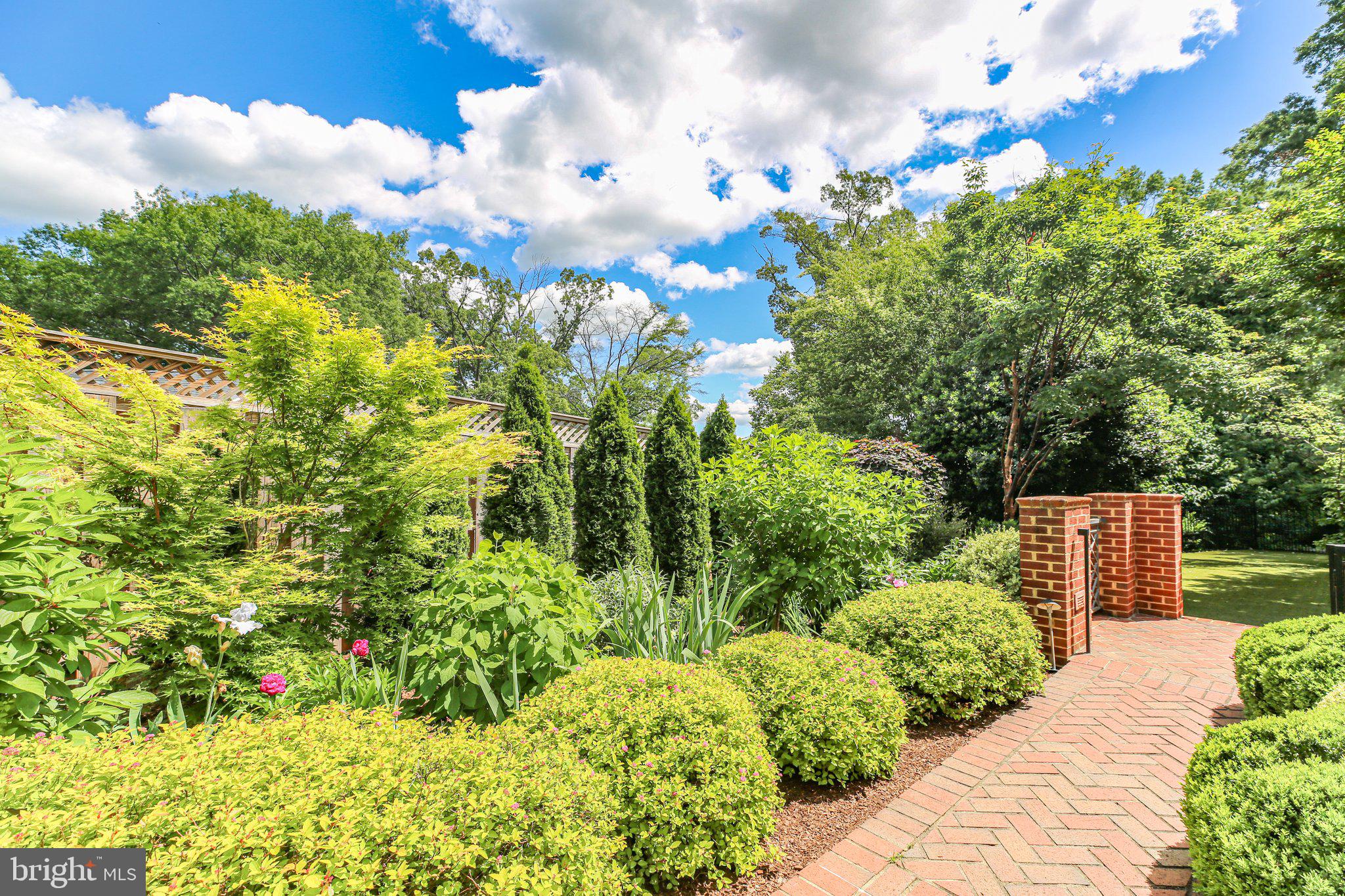 1711 Highland Road Fredericksburg, VA 22401 - Photo 43 of 58 a view of a flower in a garden