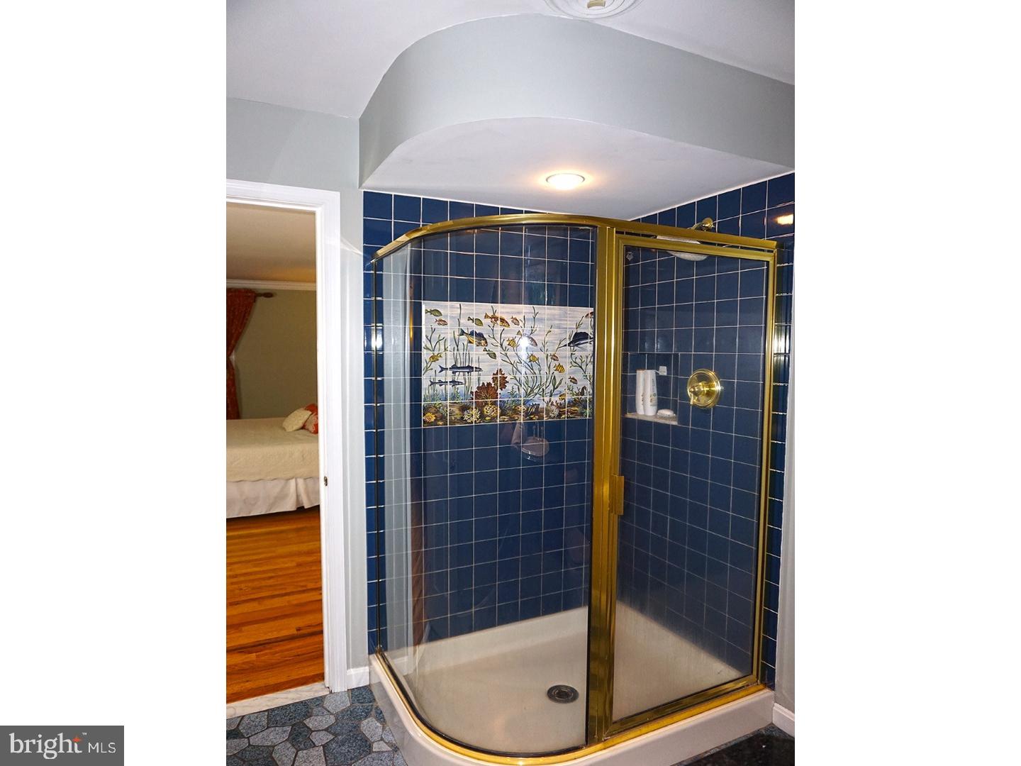 208 North Old Mill Road Dover, DE 19901 - Photo 18 of 25 Master Bathroom