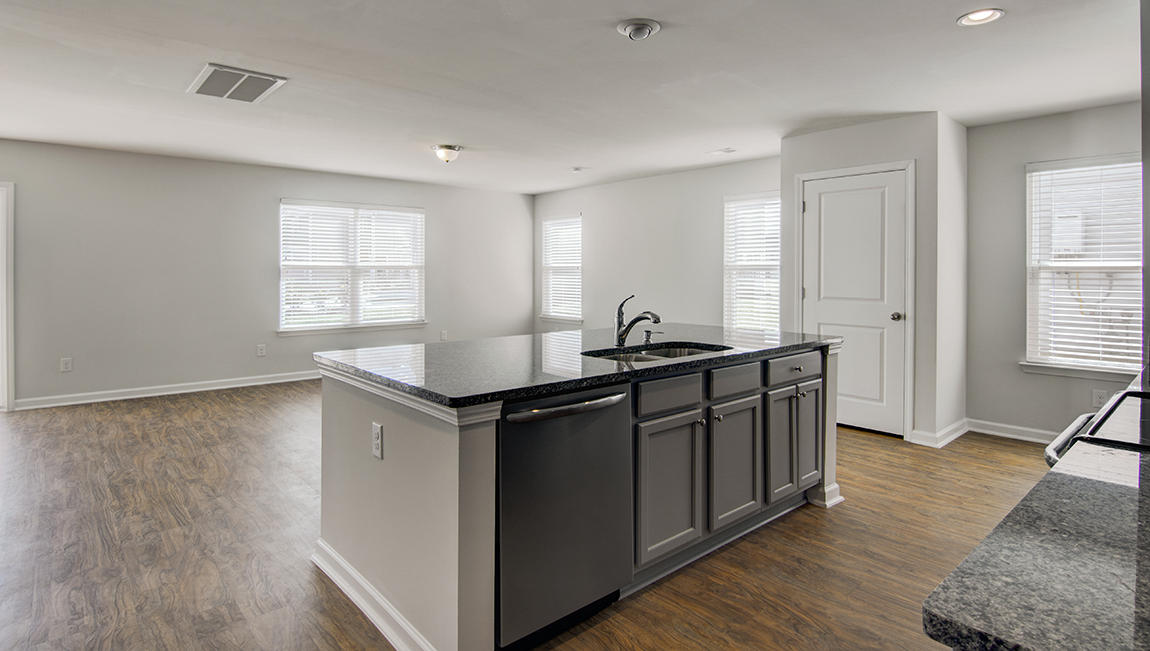 Elston-A-2172_Cypress-Ridge-Lot-19_Kitch