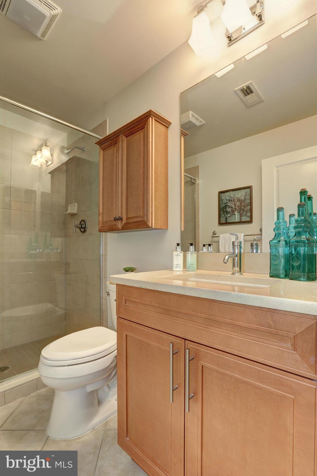 1407 W Street Northwest, Unit 202 Washington, DC 20009 - Photo 26 of 30 a bathroom with a sink a toilet a mirror and shower