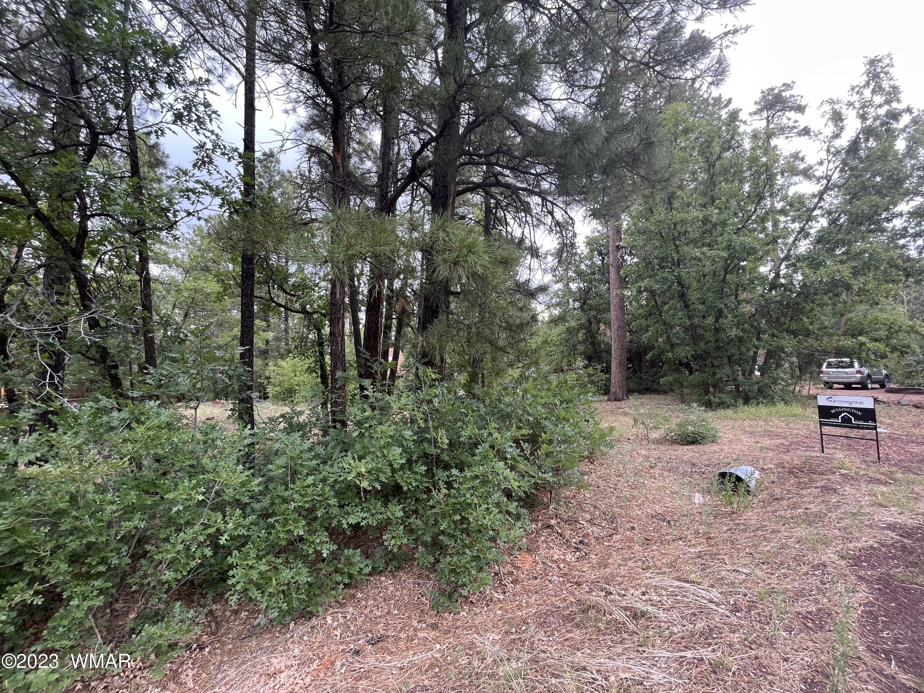 3826 Turkey Track Road Pinetop, AZ 85935 - Photo 2 of 3