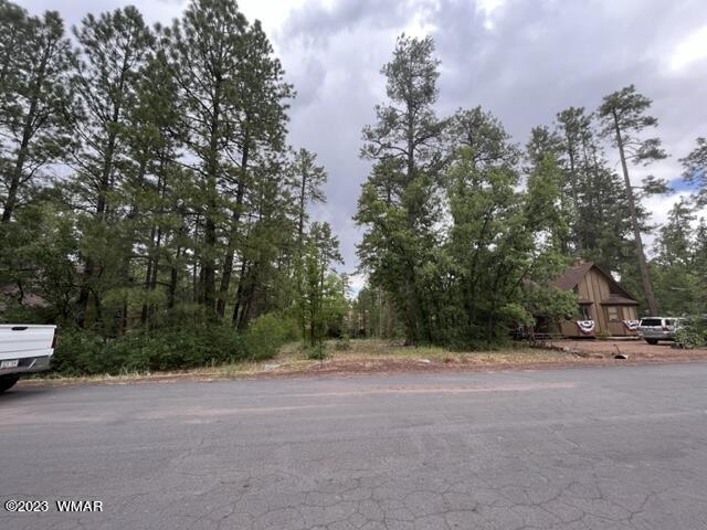 3826 Turkey Track Road Pinetop, AZ 85935 - Photo 3 of 3