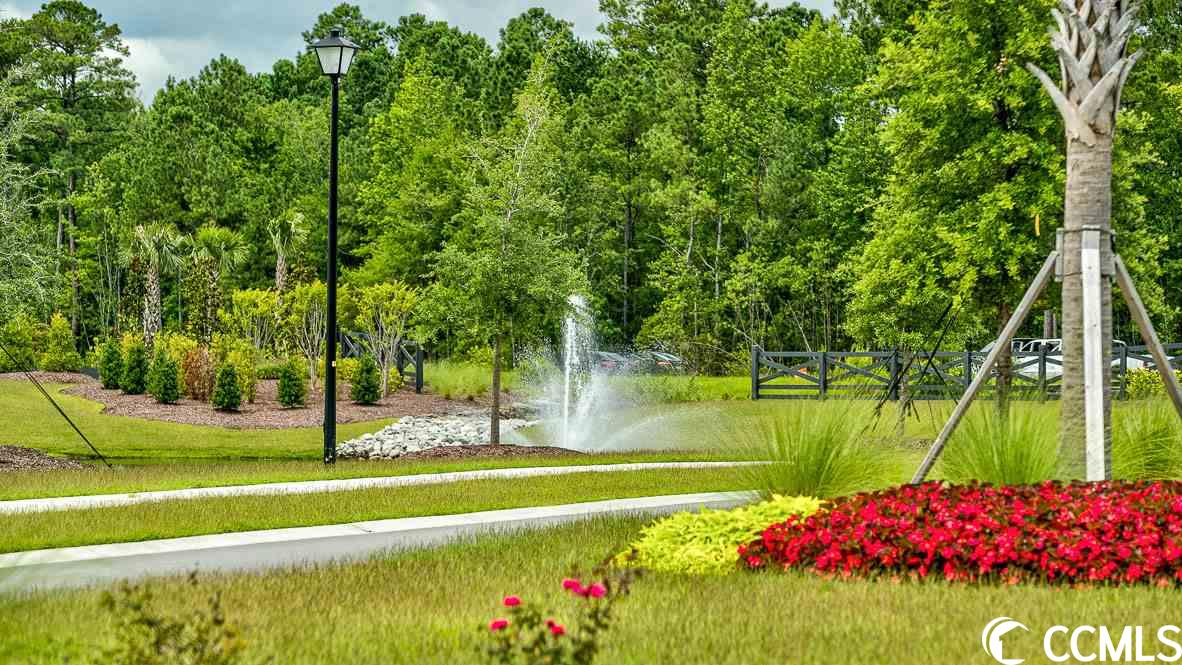 469 Calhoun Fls Drive Myrtle Beach, SC 29579 - Photo 25 of 39