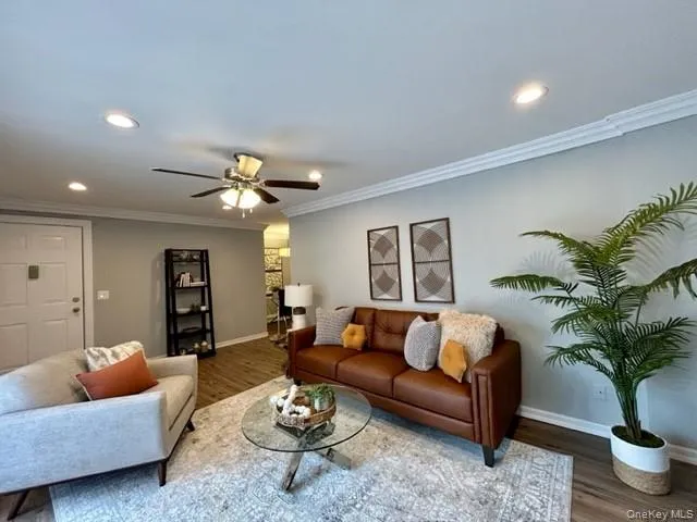 a living room with furniture potted plant and a lamp