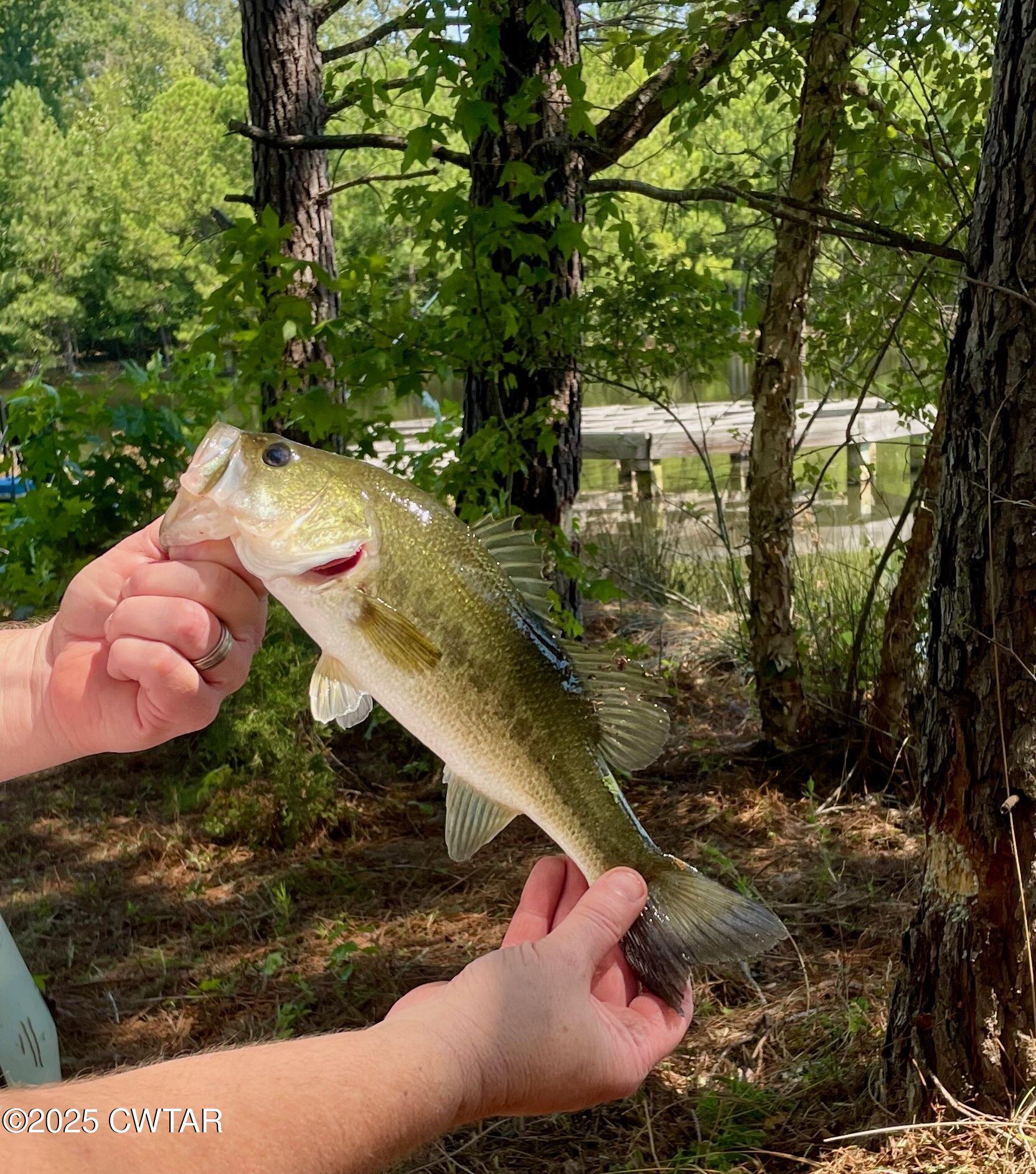 8411 Tn-69a Big Sandy, TN 38221 - Photo 4 of 10 a view of a yard with potted plants