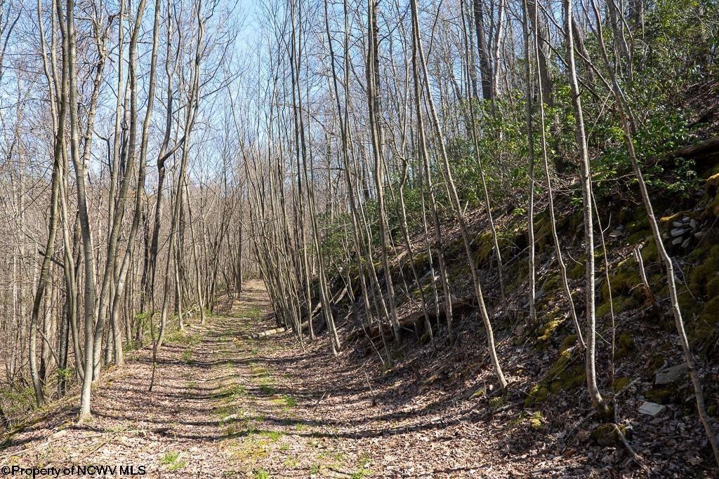 Lot 1 Fairfax Mine Road Reedsville, WV 26547 - Photo 11 of 49 Gallery Image 11