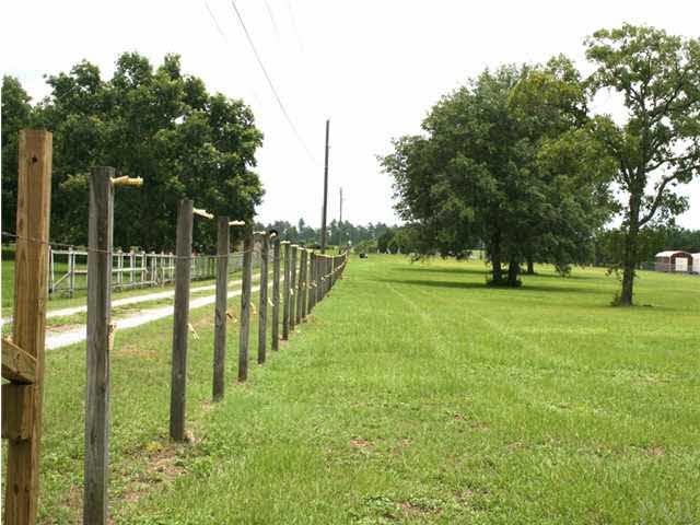1670 Jacks Branch Road Cantonment, FL 32533 - Photo 4 of 5 Green Green and More Green Views of the Fenced Pastures.