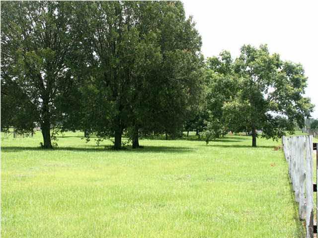 1670 Jacks Branch Road Cantonment, FL 32533 - Photo 5 of 5 Beautiful mature trees.