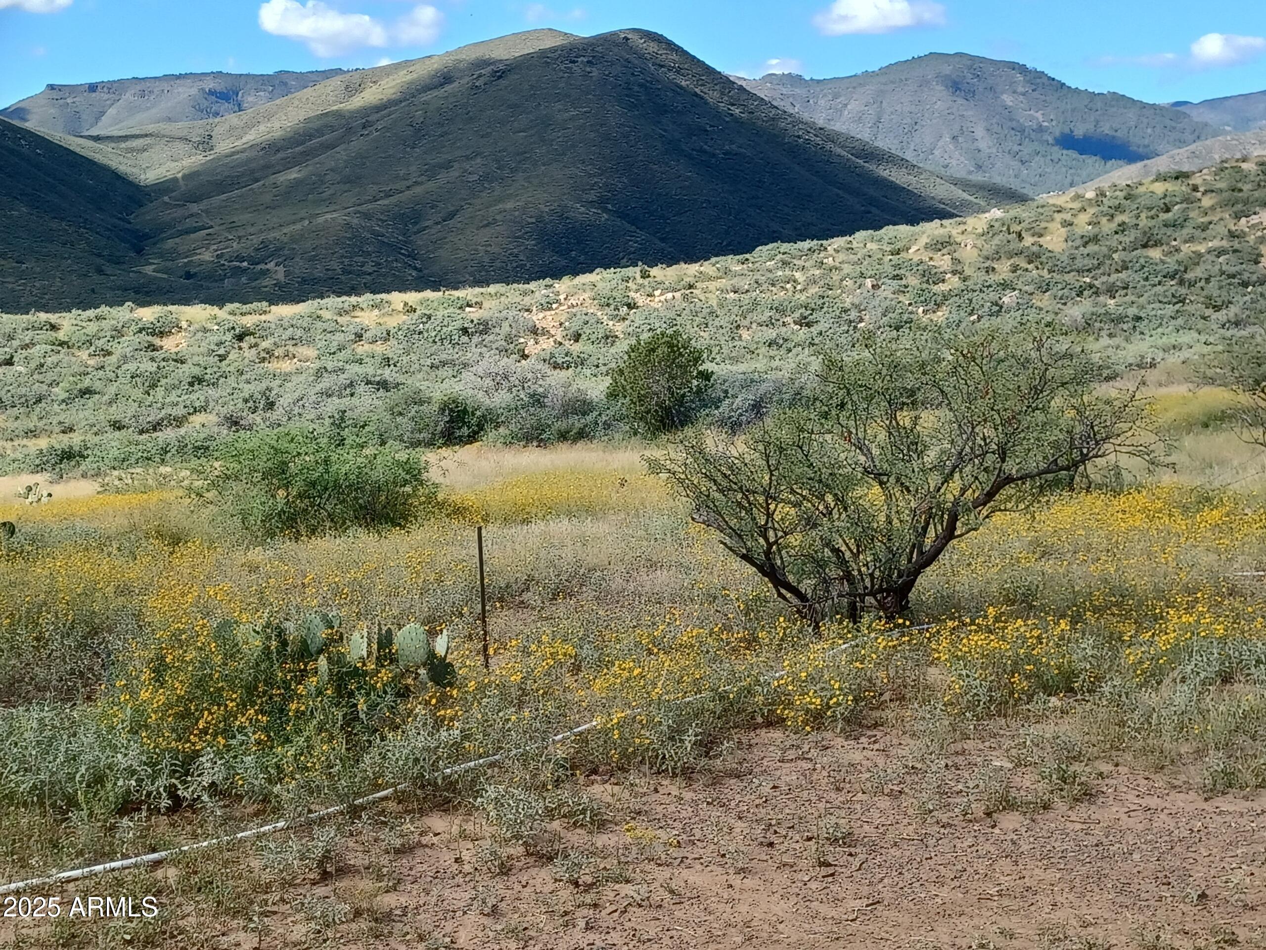 5668 Miners Pick Road Mayer, AZ 86333 - Photo 10 of 39 ELQG4822