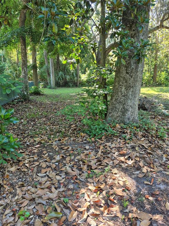16615 Island Road Citra, FL 32113 - Photo 4 of 10