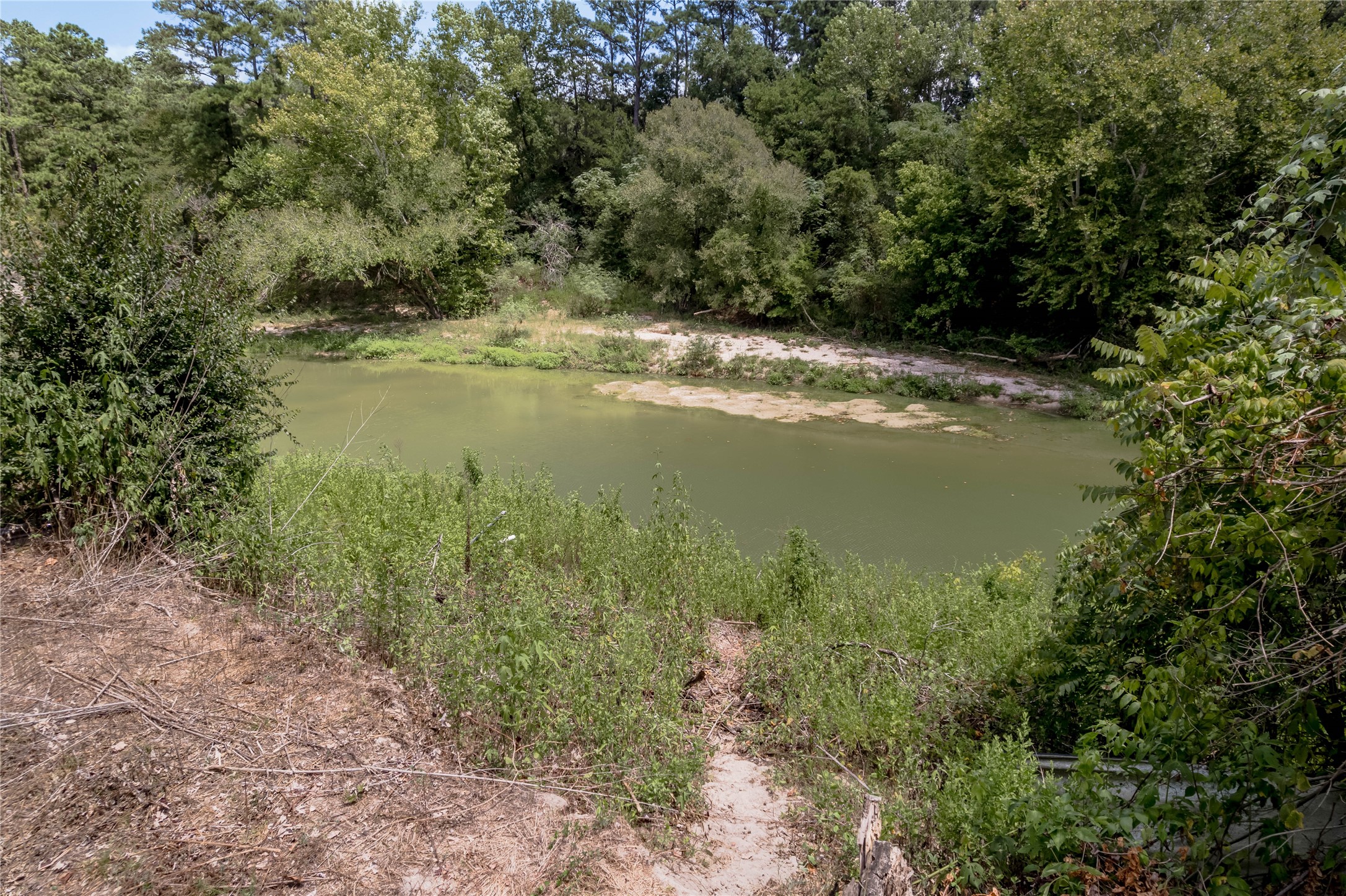 8 Creek Road Huntsville, TX 77320 - Photo 39 of 50 Tranquil creek views surrounded by lush greenery. Ready to go fishing?