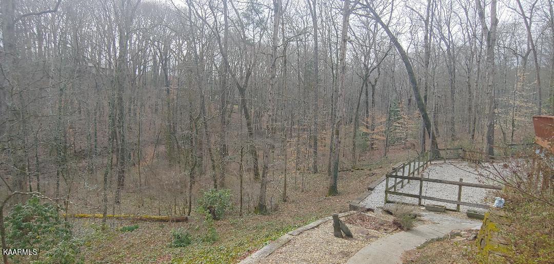 116 Norway Lane Oak Ridge, TN 37830 - Photo 47 of 52 thumbnail (51)