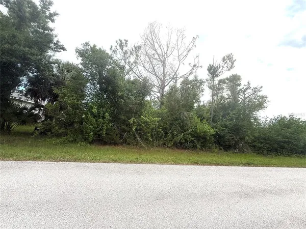 a view of a yard with a trees