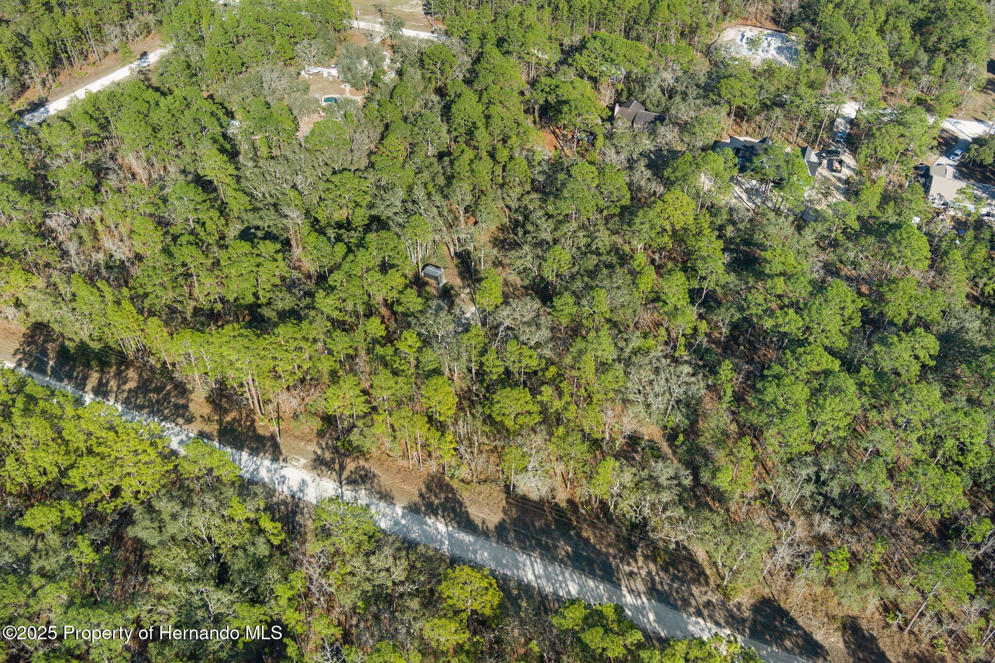 16046 Magpie Road Brooksville, FL 34614 - Photo 6 of 17