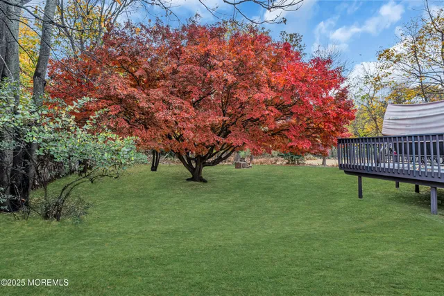 a huge green field with lots of trees