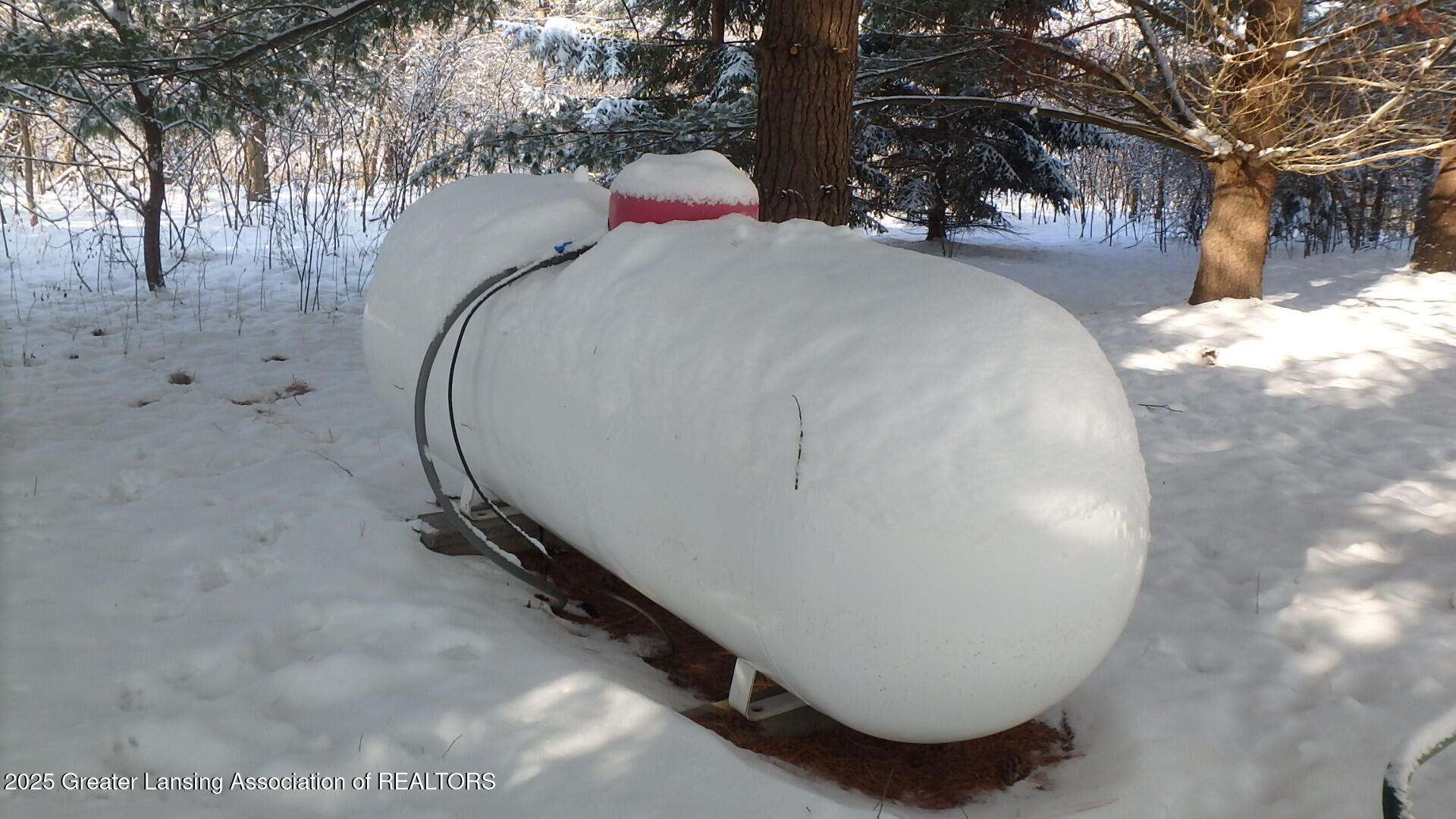 2612 South Ainger Road Charlotte, MI 48813 - Photo 39 of 39 Leased propane tank