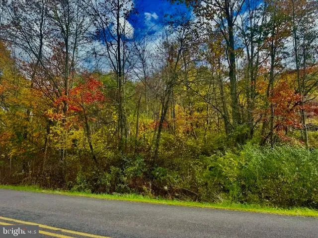 a view of a yard and basketball court