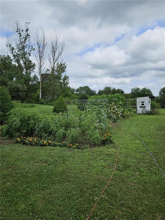 145 Boomerang Road Harrisville, PA 16038 - Photo 33 of 37 a view of a garden with houses