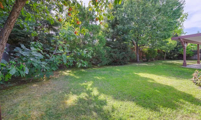 a backyard of a house with lots of plants and large trees