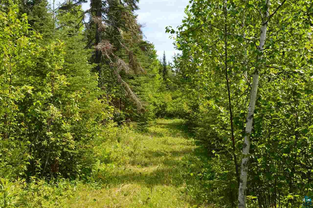 1219 Pike Lake Road Grand Marais, MN 55604 - Photo 3 of 19 Gallery Image 3