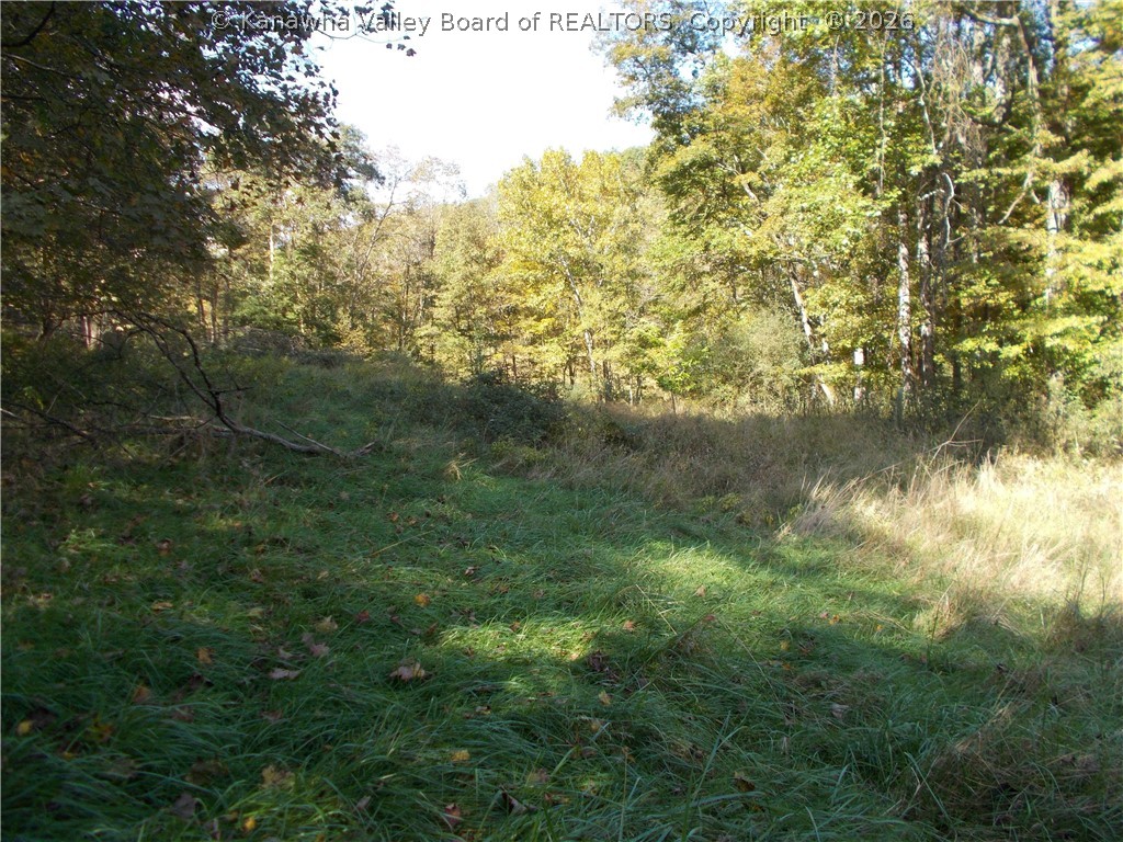 0 Mud Lick Road Liberty, WV 25124 - Photo 17 of 30 Gallery Image 17