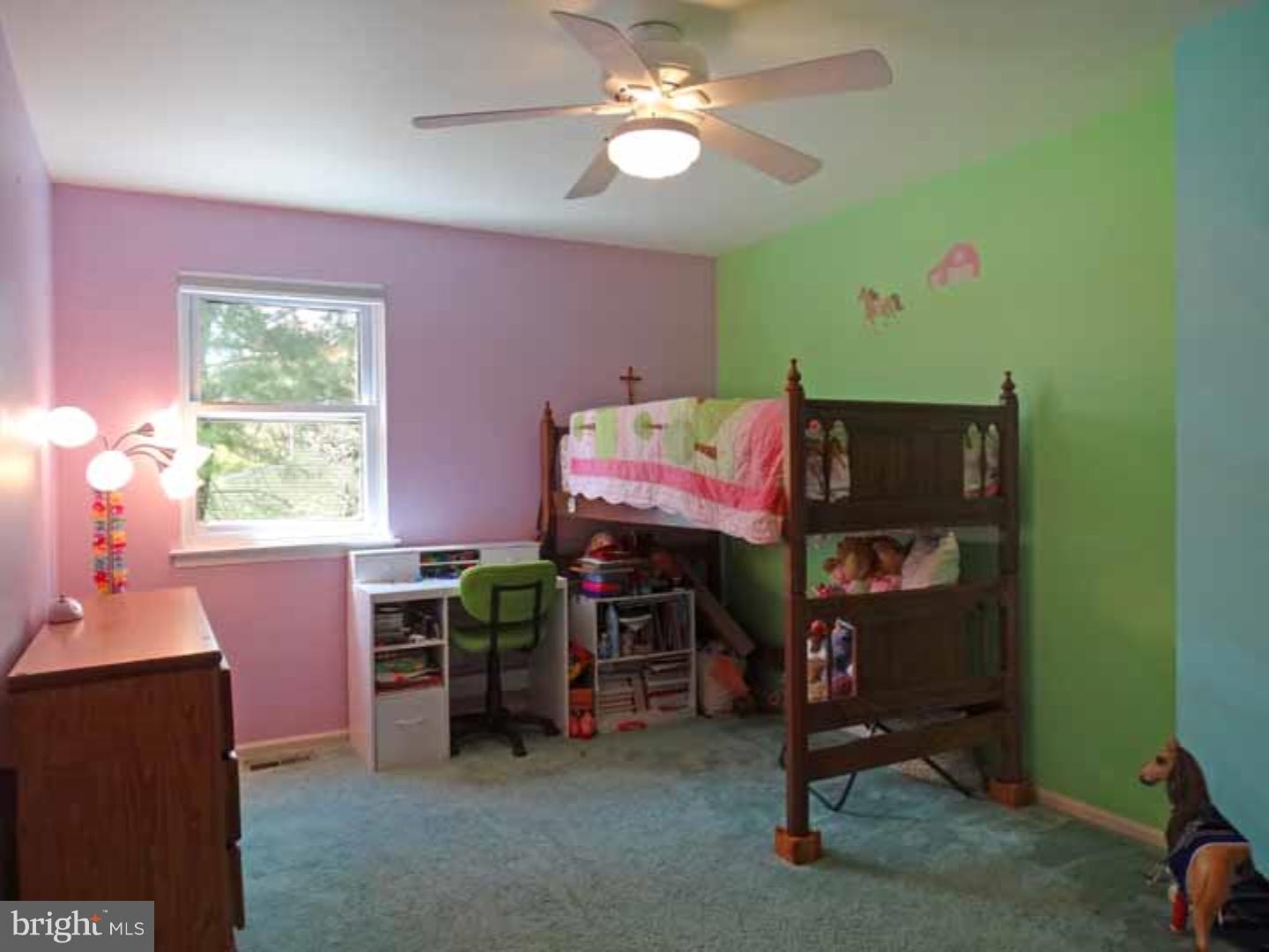 79 Michael Road Holland, PA 18966 - Photo 15 of 22