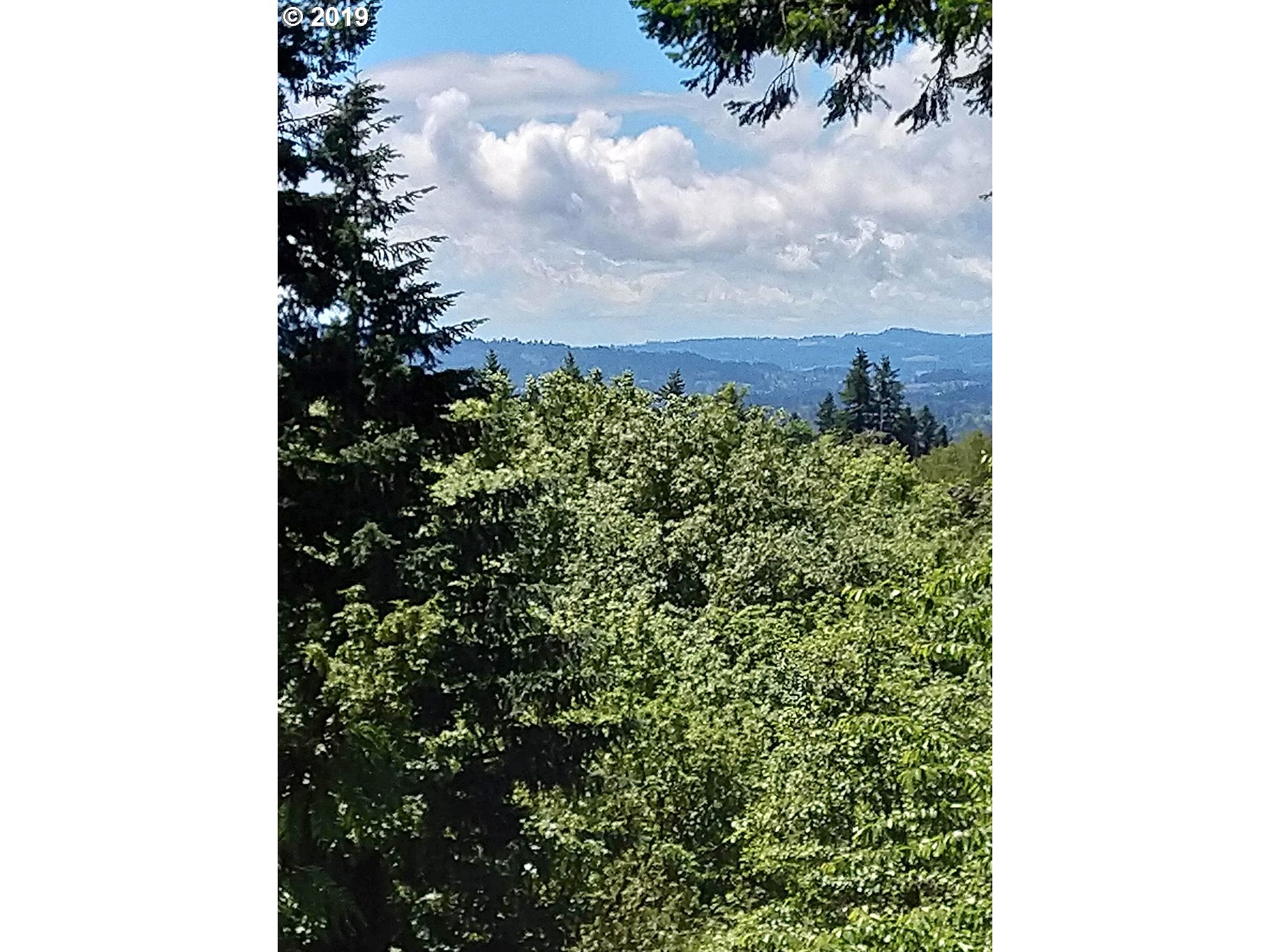 7748 Southwest Barnes Road, Unit B Portland, OR 97225 - Photo 24 of 24 Gallery Image 24