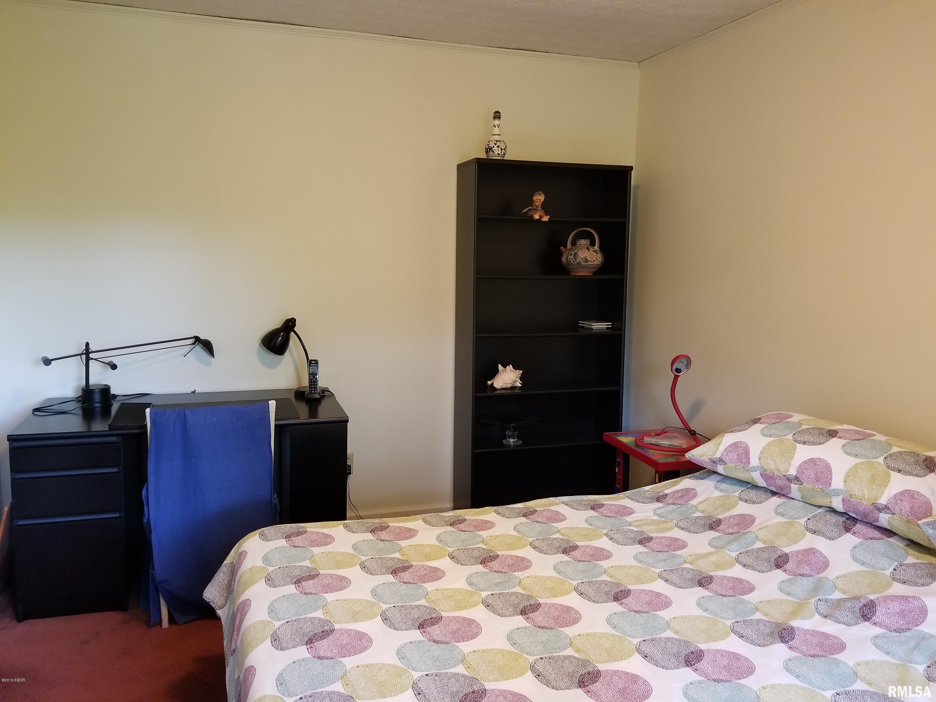 8736 East Casey Pike Road Mount Vernon, IL 62864 - Photo 24 of 47
