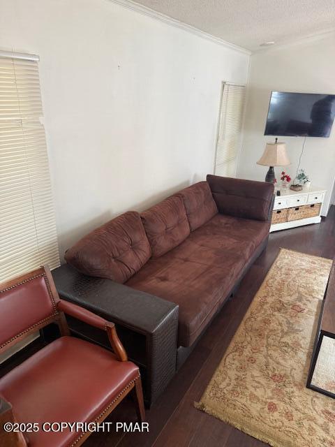 7 Gooseberry Drive Effort, PA 18330 - Photo 18 of 28 a living room with a couch and a rug