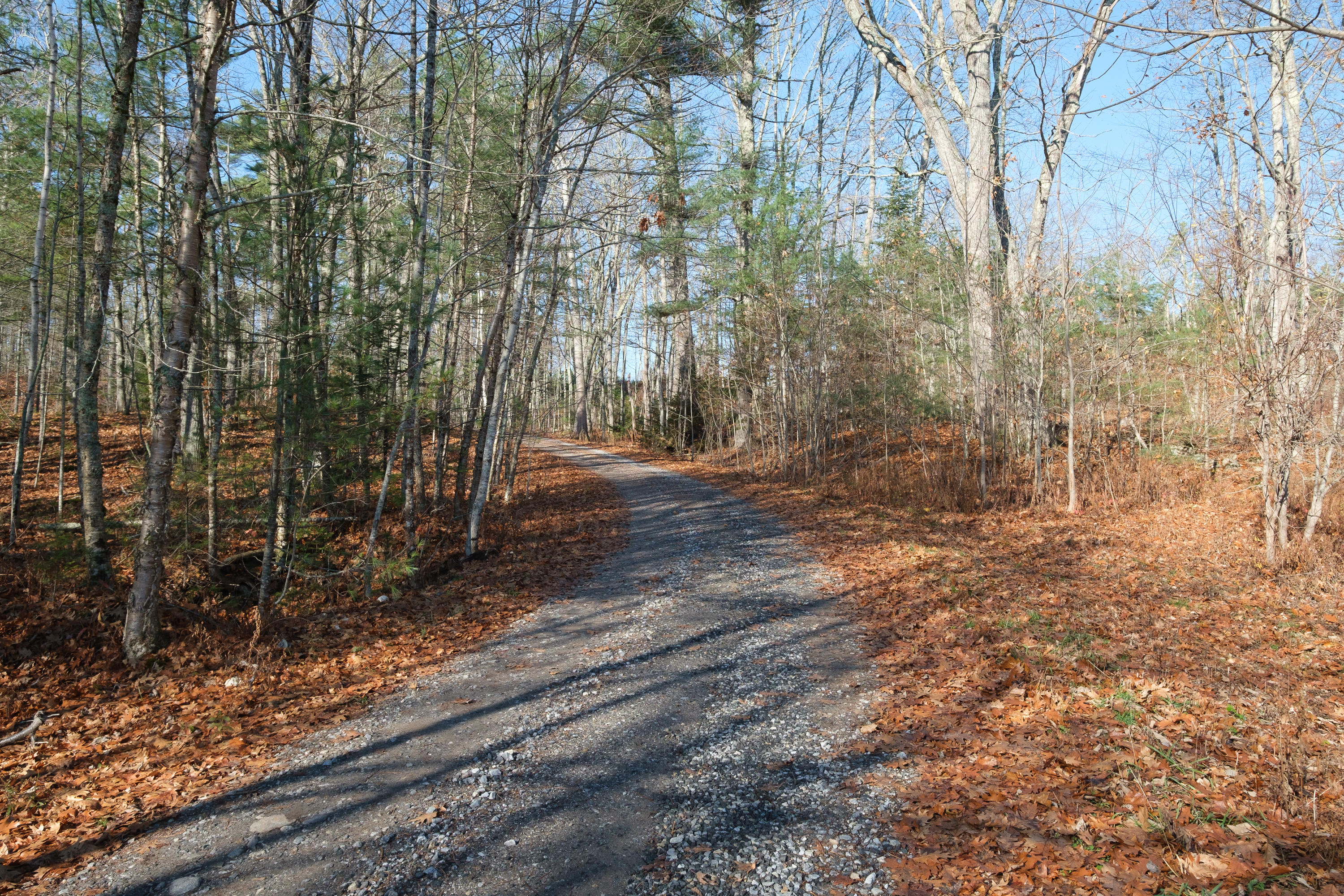 40 Brick Hill Road Edgecomb, ME 04556 - Photo 27 of 28 20201114_40_Brickhill_1282
